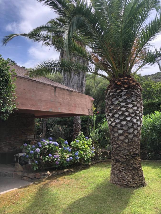 Sole Mare PortoRotondo Porto Rotondo Exterior foto